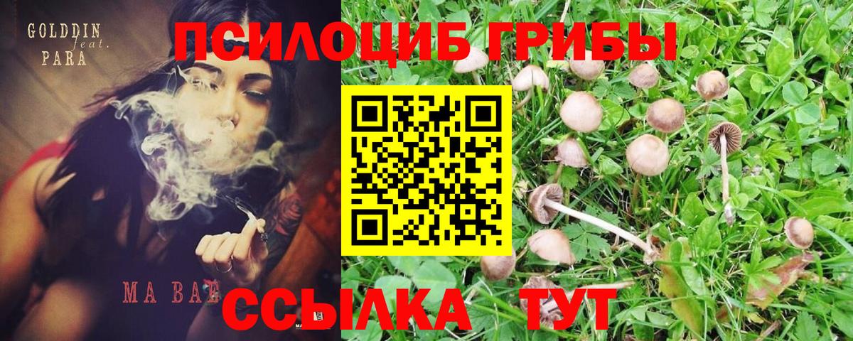Галлюциногенные грибы MAGIC MUSHROOMS Владикавказ
