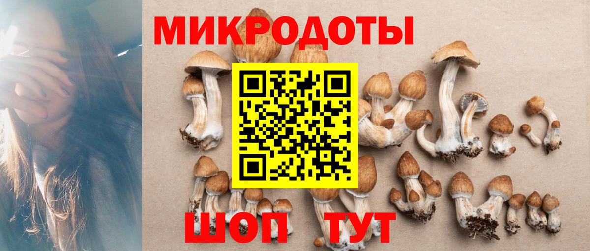 где можно купить наркотик  Псилоцибиновые грибы GOLDEN TEACHER  Галлюциногенные грибы MAGIC MUSHROOMS  Вход с VPN  Владикавказ 